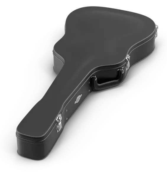 guitar-case.webp guitar-case.webp